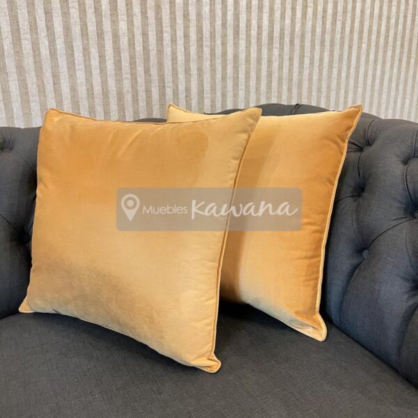 velvet cushion