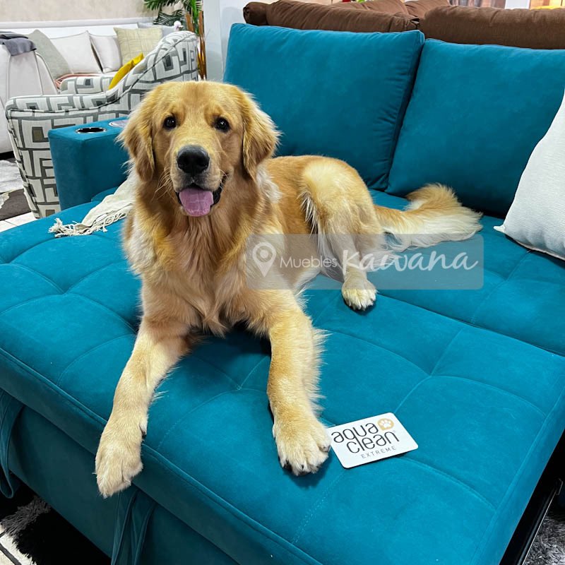 Pet Friendly Retractable Double Sofa