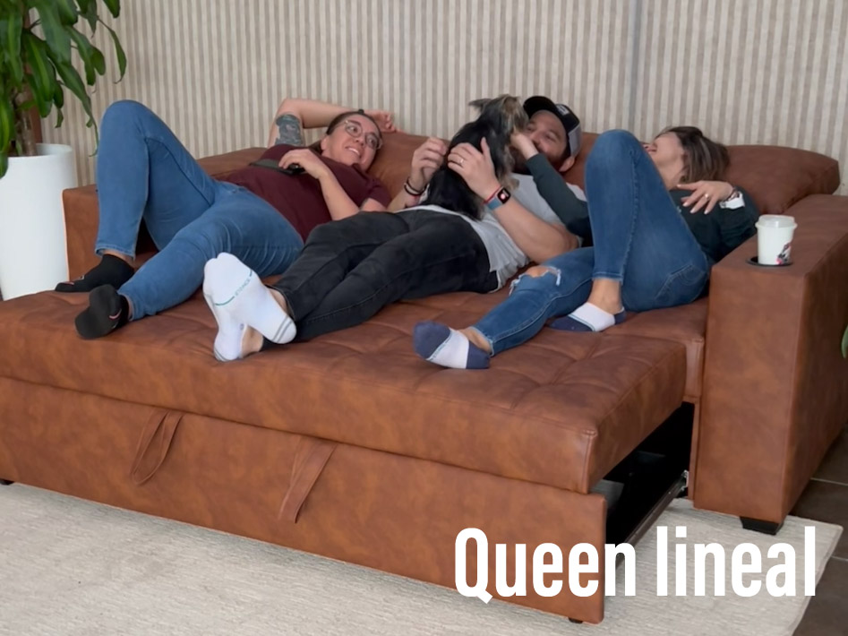 Queen Linear Sofa Bed